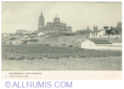 Salamanca - General View (1920)