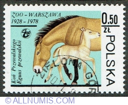 0.50 Zloty 1978 - Przewalski’s Horse (Equus przewalskii)