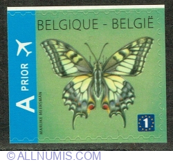 Image #1 of 1 Europe 2012 - Swallowtail Butterflies (Papilio machaon)