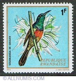 Image #1 of 1 Franc 1972 - Northern Double-collared Sunbird (Cinnyris reichenowi)