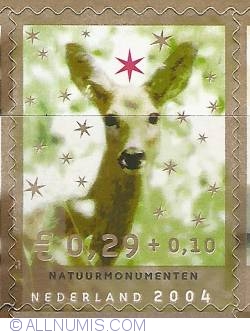 0,29 + 0,10 Euro 2004 - December Stamp - Natuurmonumenten