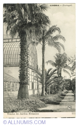 Image #1 of Lisbon - Botanical Garden (1920)