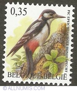 Image #1 of 0,35 Euro 2003 - Great Spotted Woodpecker