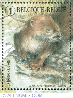 Image #1 of "1" 2008 - Eurasian Otter (Lutra lutra)
