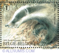 Image #1 of "1" 2008 - European Badger (Meles meles)