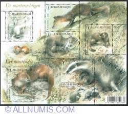 Image #1 of The Mustelids  2008