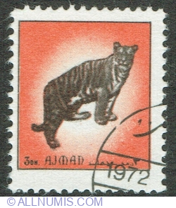 Image #1 of 3 Dirham 1972 - Tiger