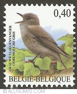 Image #1 of 0,40 Euro 2004 - Spotted Flycatcher
