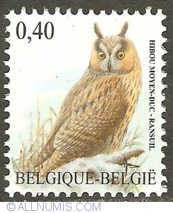 0,40 Euro 2007 - Long-eared Owl