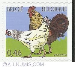 0,46 Euro 2006 - Chickens