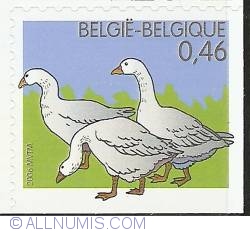 0,46 Euro 2006 - Geese