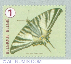 Image #1 of "1" 2014 - Scarce Swallowtail (Iphiclides podalirius)
