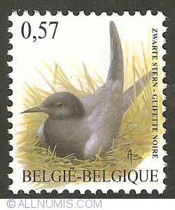 Image #1 of 0,57 Euro 2002 - Black Tern