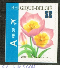 1 Europe 2009 - Tulip Bakeri