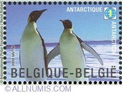 Image #1 of 1 World 2009 - Emperor Penguin
