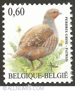 0,60 Euro 2005 - Grey Partridge