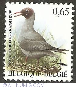 Image #1 of 0,65 Euro 2004 - Black-Headed Gull