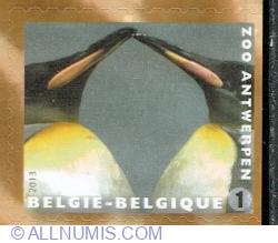 "1" 2013 - Pinguinul imperial (Aptenodytes forsteri)