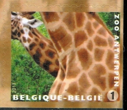 "1" 2013 - Giraffe (Giraffa camelopardalis)