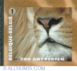 Image #1 of "1" 2013 - Lion (Panthera leo)
