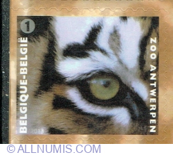 Image #1 of "1" 2013 - Tiger (Panthera tigris)
