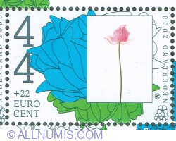 Image #1 of 44 + 22 Euro cent 2008 - Japanese anemone