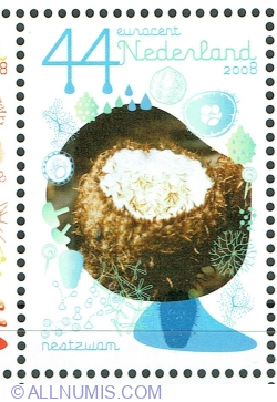 Image #1 of 44 Euro cent 2008 - Nest Fungus