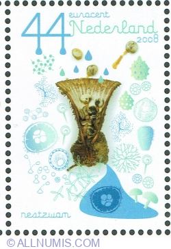 Image #1 of 44 Euro cent 2008 - Nest Fungus