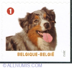 "1" 2012 - Domestic Dog (Canis lupus familiaris)
