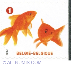 Image #1 of "1" 2012 - Goldfish (Carassius auratus auratus)