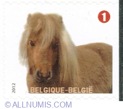 Image #1 of "1" 2012 - Horse / Pony (Equus ferus caballus)