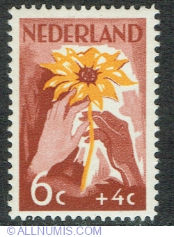 Image #1 of 6 + 4 Cents 1949 - Floarea Soarelui