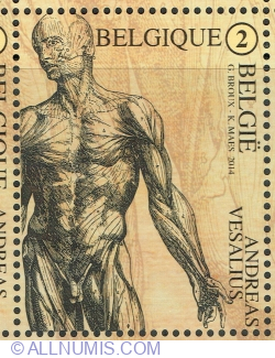 Image #1 of "2" 2014 - Andreas Vesalius - Sistemul muscular