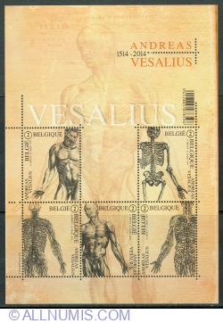5 x "2" 2014 - Andreas Vesalius - De Humani Corporis Fabrica
