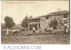 Image #1 of Guimarães - Country Customs, grading (1920)