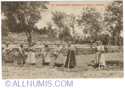 Image #1 of Guimarães - Country Customs, weeding (1920)