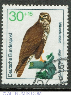 Image #1 of 30 + 15 Pfennig 1973 - Common Buzzard (Buteo buteo)