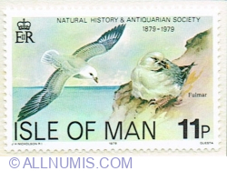 Image #1 of 11 Pence 1979 - Northern Fulmar (Fulmarus glacialis)