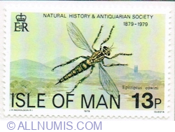 Image #1 of 13 Pence 1979 - Manx Robber Fly (Epitriptus cowini)