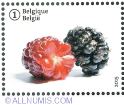 Image #1 of "1" 2015 - Forgotten fruit: Black Mulberry