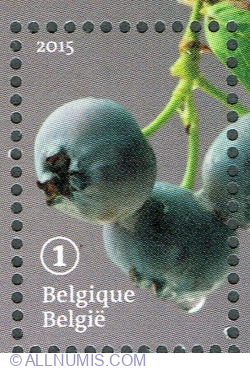 Image #1 of "1" 2015 - Forgotten Fruit: Blueberry