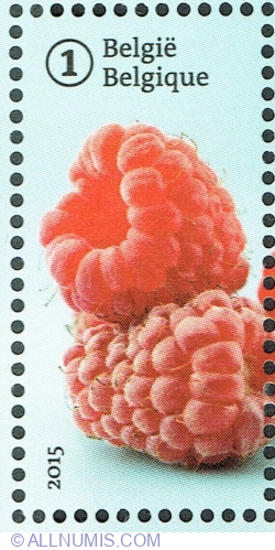 Image #1 of "1" 2015 - Forgotten fruit: Loganberries