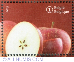 Image #1 of "1" 2015 - Forgotten fruit: Star Apple