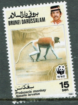 15 Sen 1991 - Proboscis Monkey