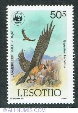 50 Sente 1986 - Lammergeier (Gypaetus barbatus)