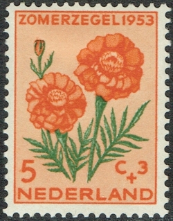 Image #1 of 5 + 3 Cents 1953 - Marigold
