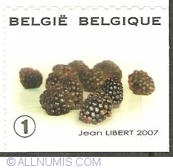 1° 2007 -  Blackberries