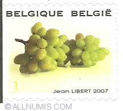 1° 2007 - Grapes