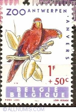 1 Franc + 50 Centimes 1962 - Red Lory (Eos bornea)