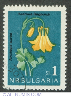 1 Stotinka 1963 - Aquilegia aurea